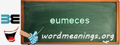 WordMeaning blackboard for eumeces